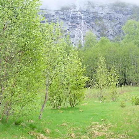 View In Jolster