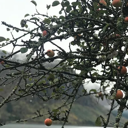 Appartamento View In Jolster Årdal