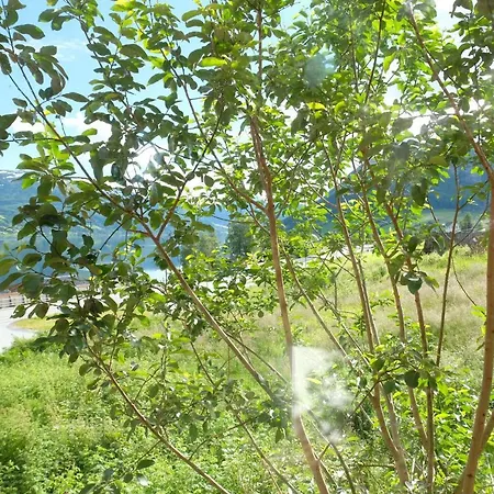 View In Jolster Appartamento