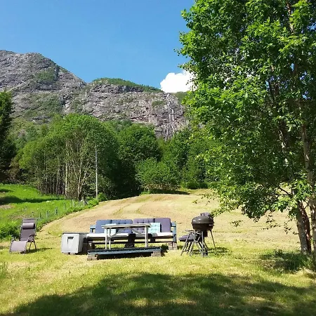 View In Jolster *