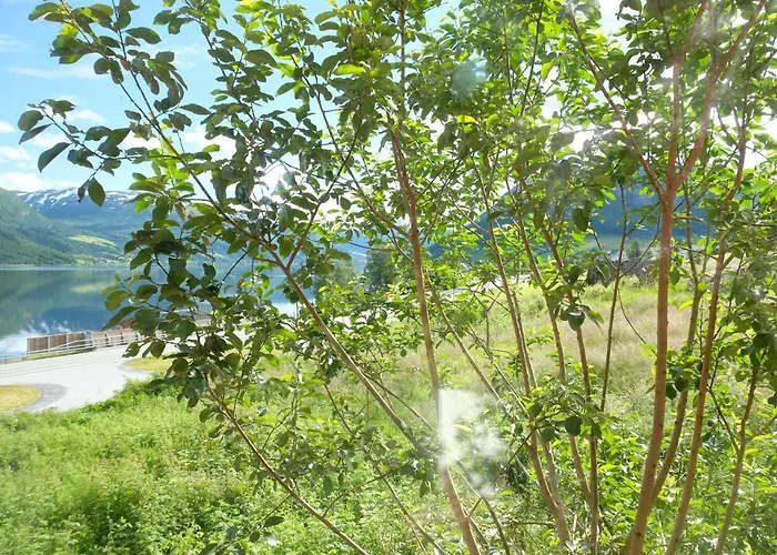 View In Jolster Apartamento